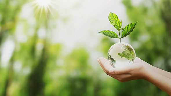 İzin & Danışmanlık